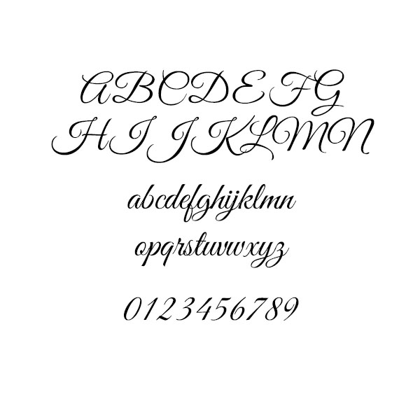 Script font chosen based on provided logo, for decorative elements only
